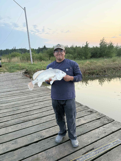 Freshwater Drum