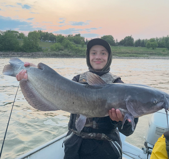 Channel Catfish