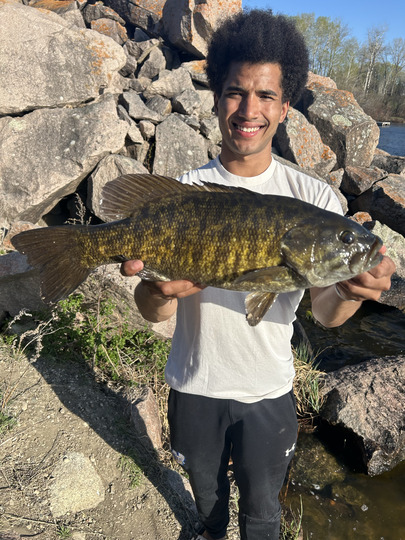 Smallmouth Bass