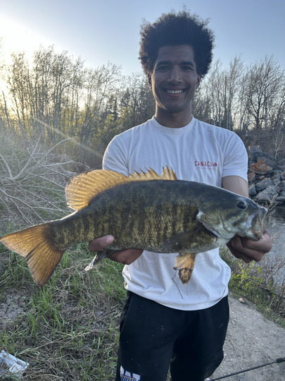 Smallmouth Bass