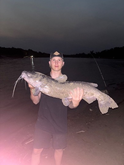 Channel Catfish