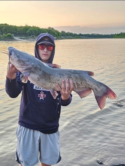 Channel Catfish