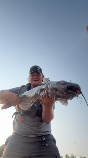 Channel Catfish