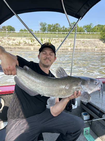 Channel Catfish