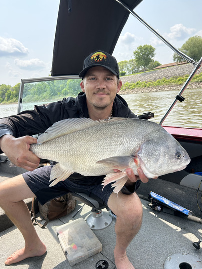 Freshwater Drum