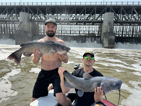 Channel Catfish