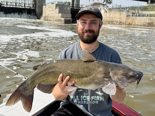 Channel Catfish