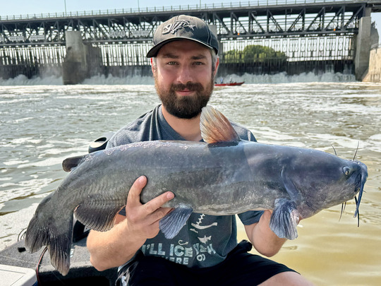 Channel Catfish