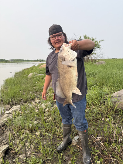 Freshwater Drum