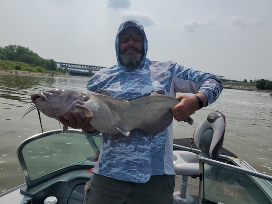 Channel Catfish