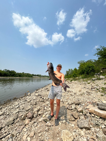 Channel Catfish