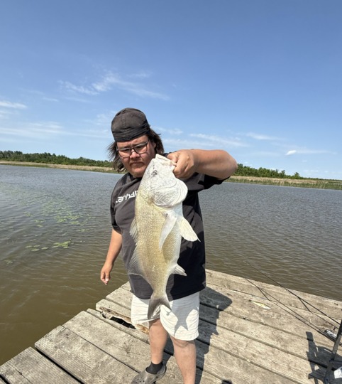 Freshwater Drum