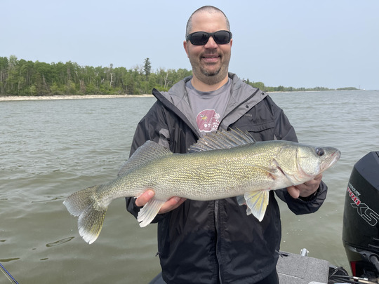 Walleye