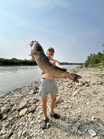 Channel Catfish