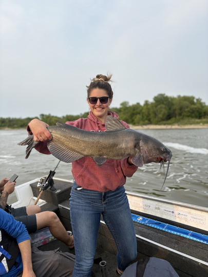 Channel Catfish