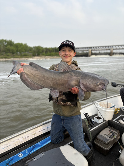 Channel Catfish