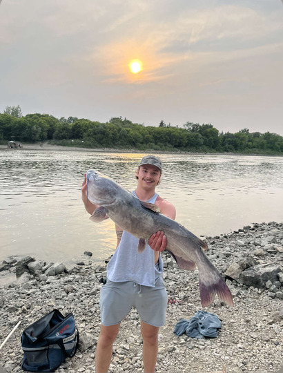 Channel Catfish