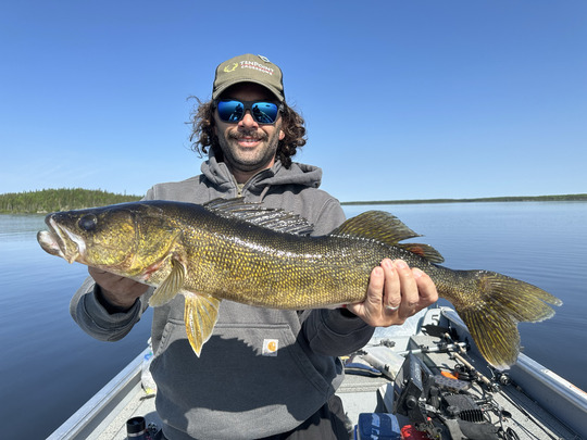 Walleye