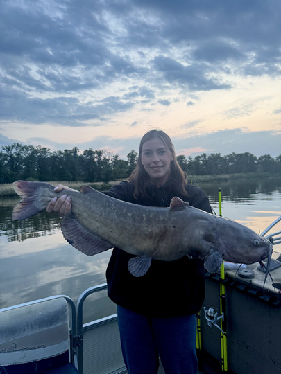 Channel Catfish
