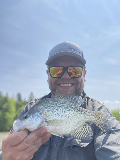 Black Crappie