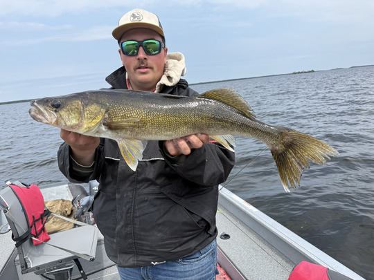 Walleye