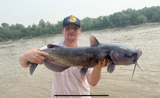 Channel Catfish