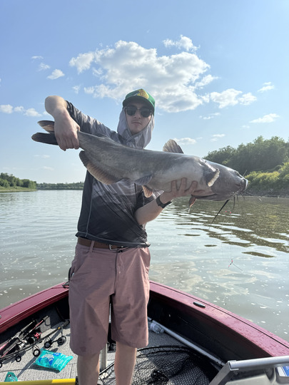 Channel Catfish