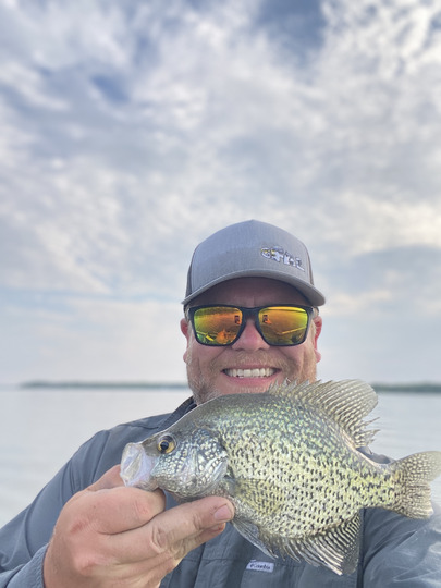 Black Crappie