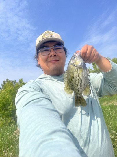Rock Bass