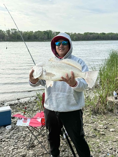 Freshwater Drum