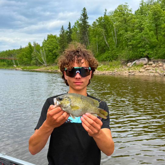 Rock Bass