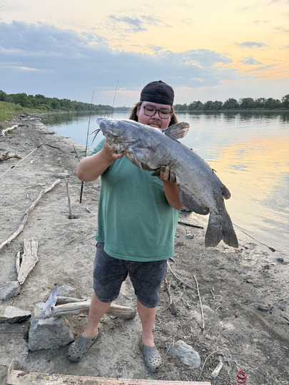 Channel Catfish