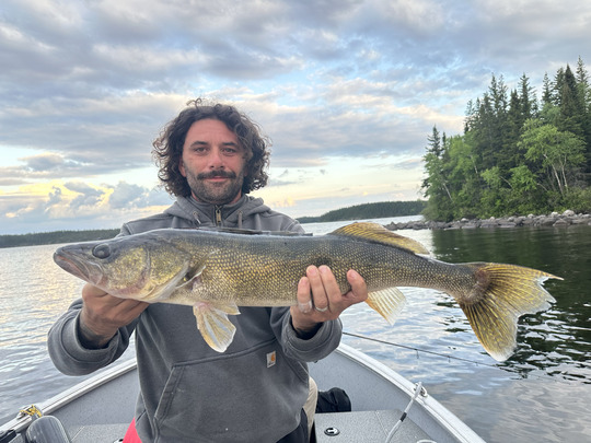 Walleye