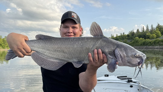 Channel Catfish