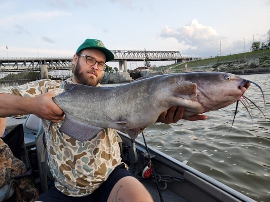 Channel Catfish