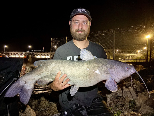 Channel Catfish