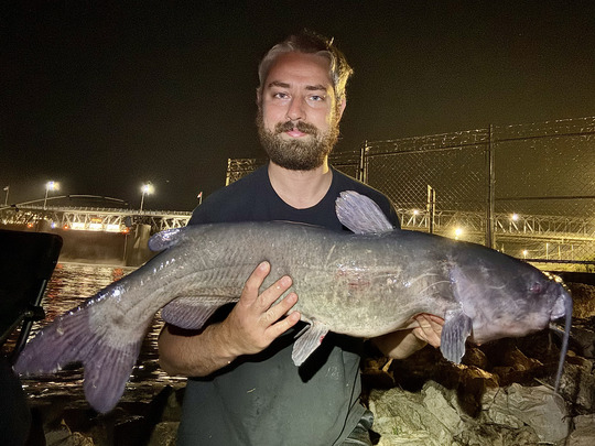 Channel Catfish