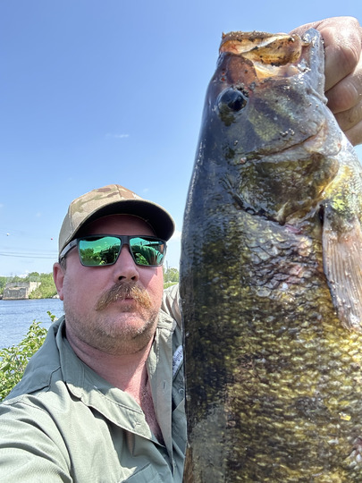 Smallmouth Bass