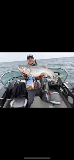 Lake Trout