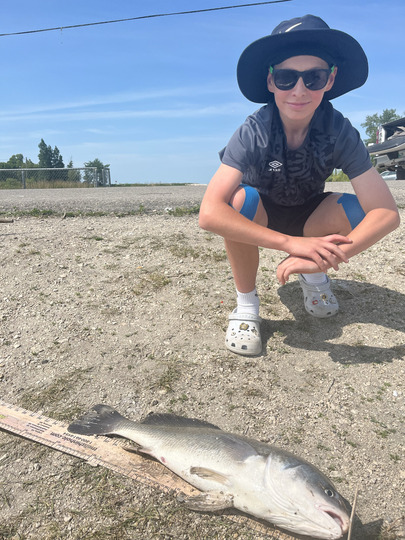 Freshwater Drum