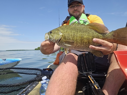 Smallmouth Bass