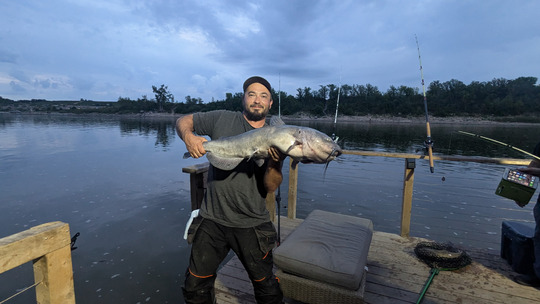 Channel Catfish
