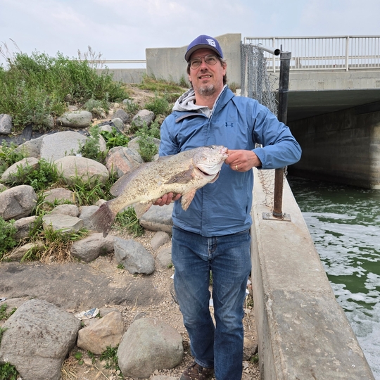 Freshwater Drum