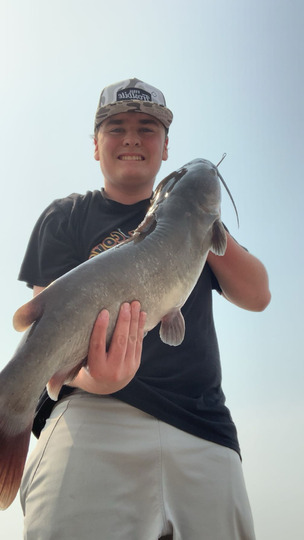 Channel Catfish
