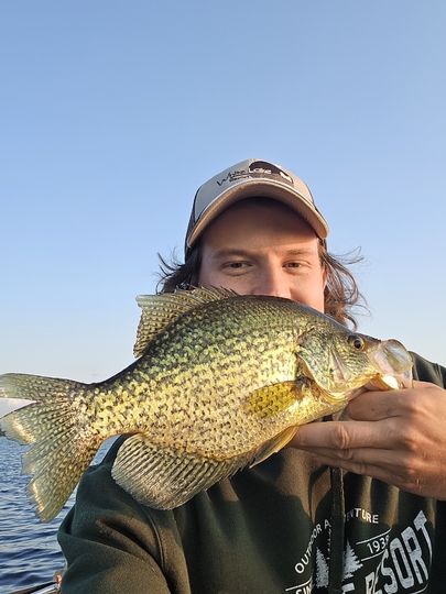 Black Crappie