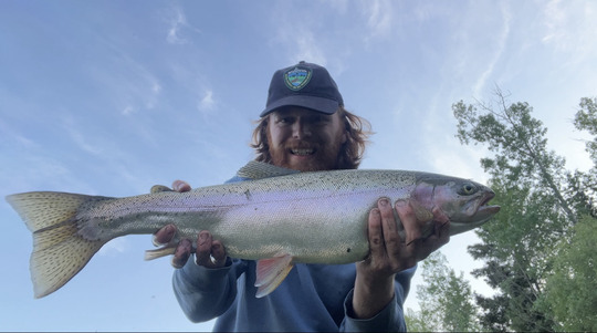 Rainbow Trout