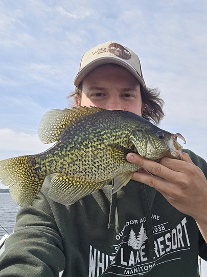 Black Crappie