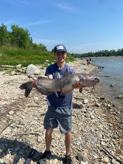 Channel Catfish