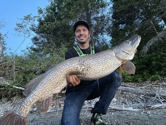 Northern Pike