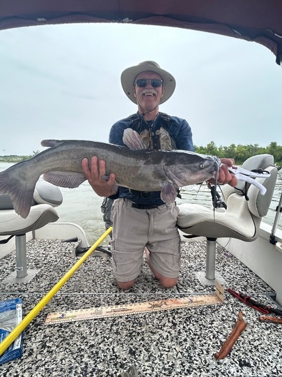 Channel Catfish